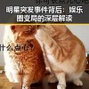 明星突发事件背后：娱乐圈变局的深层解读