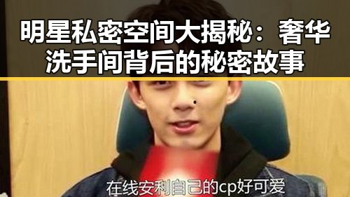 明星私密空间大揭秘:奢华洗手间背后的秘密故事