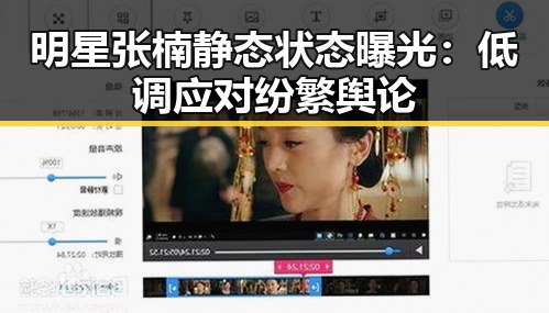 明星张楠静态状态曝光:低调应对纷繁舆论