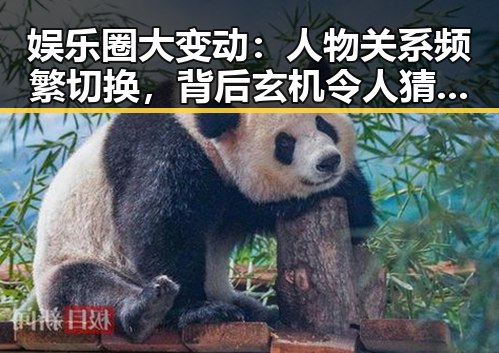 娱乐圈大变动:人物关系频繁切换,背后玄机令人猜测 🕵️♂️