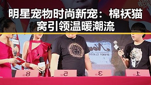 明星宠物时尚新宠：棉袄猫窝引领温暖潮流