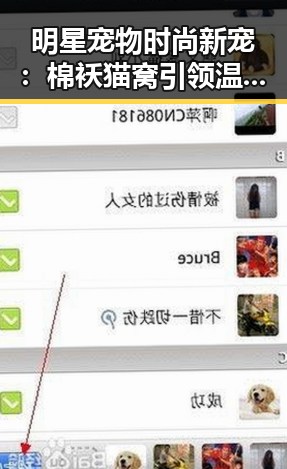 明星宠物时尚新宠:棉袄猫窝引领温暖潮流