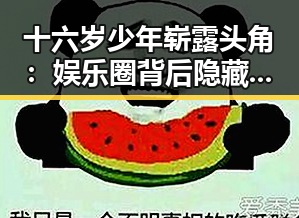 十六岁少年崭露头角：娱乐圈背后隐藏的故事